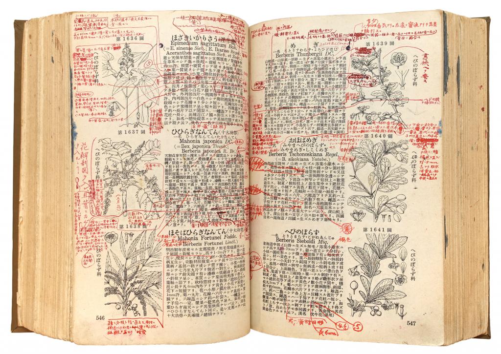 牧野日本植物図鑑 初版本 赤字