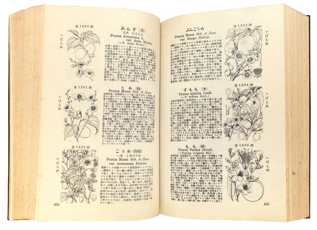 牧野日本植物図鑑 初版本