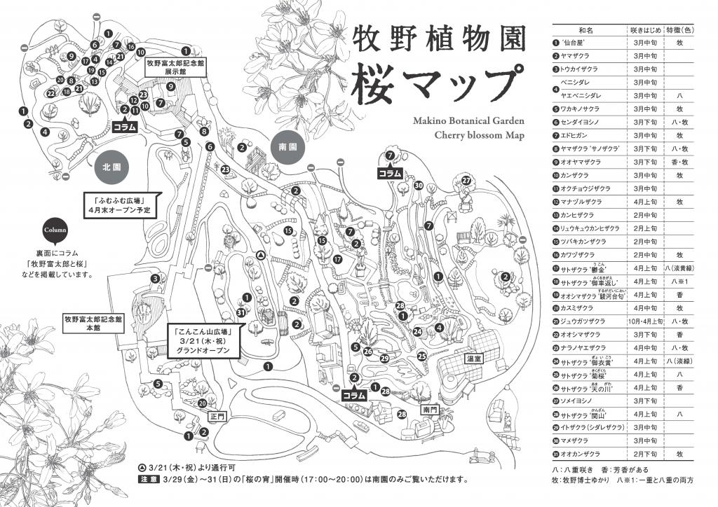 牧野植物園 桜MAP