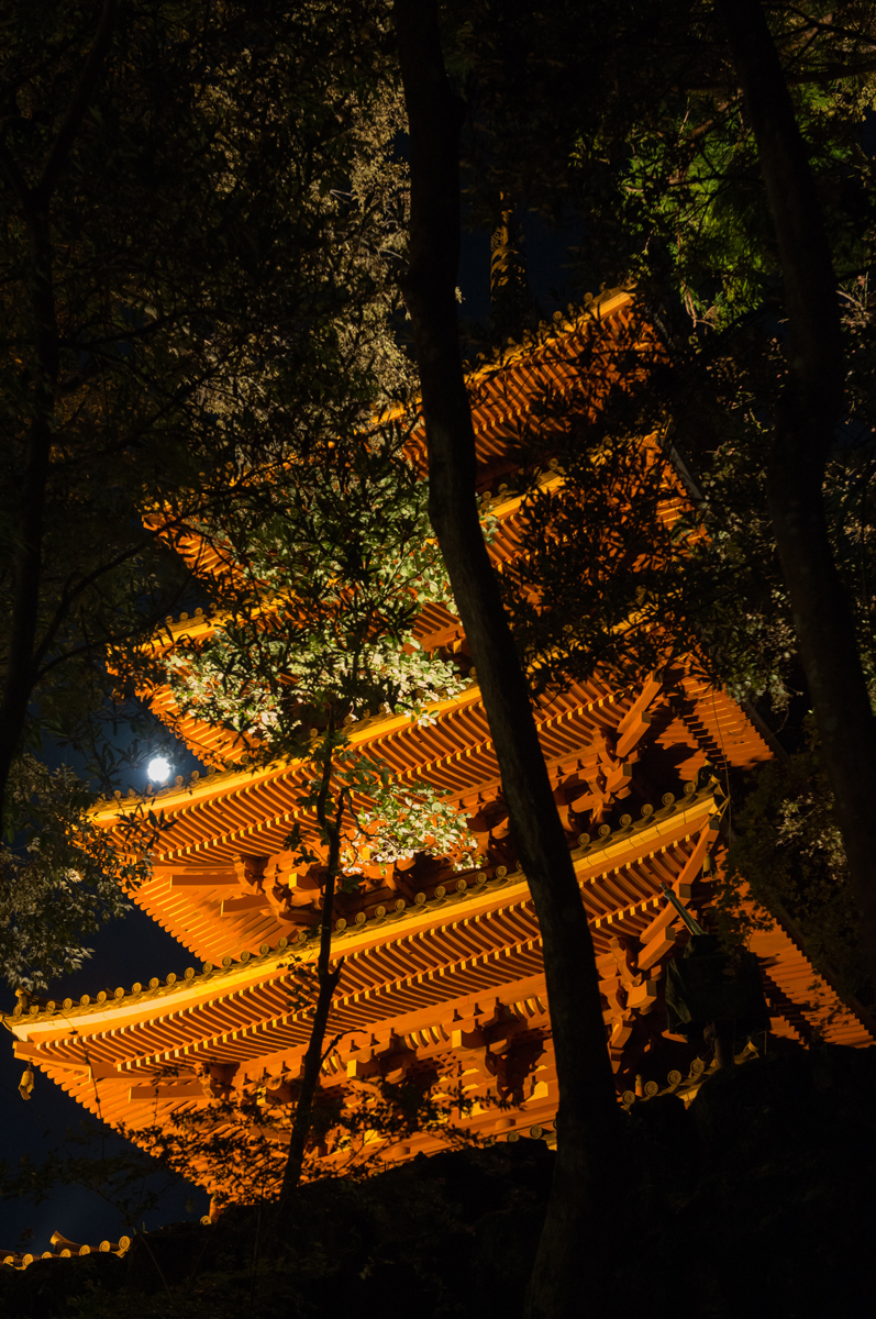竹林寺の五重塔もライトアップ