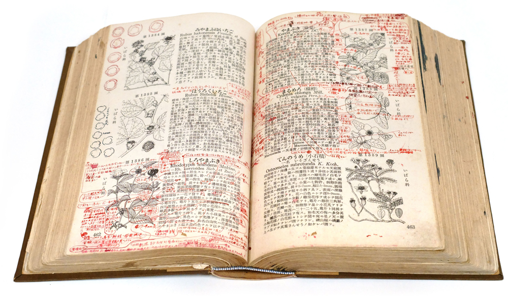 『牧野日本植物図鑑』の初版本の赤字校正