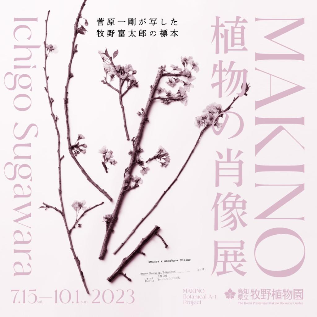 「MAKINO 植物の肖像」展