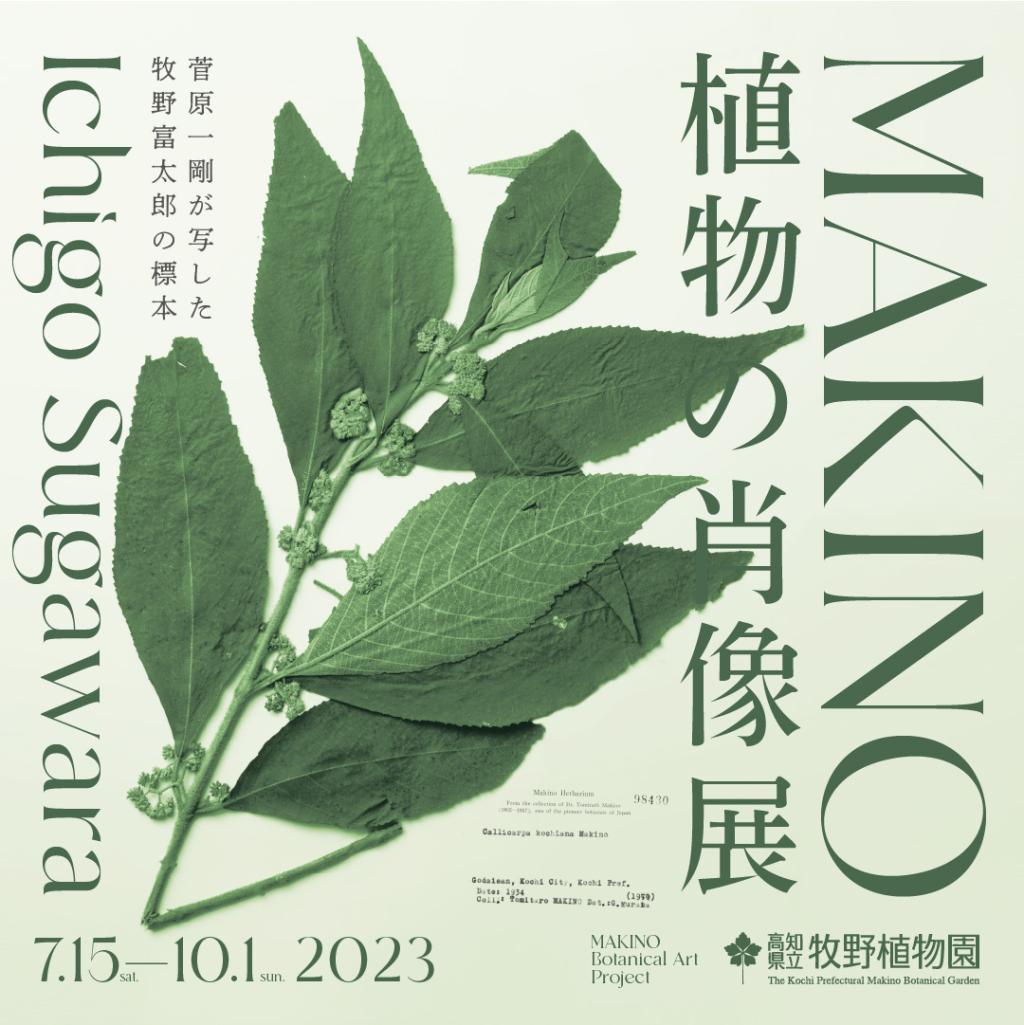 「MAKINO 植物の肖像」展