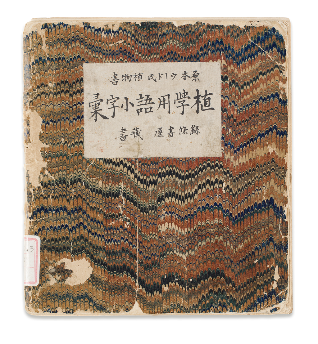 『植学用語小字彙』 1881（明治14）年 <br>西洋の植物学用語事典を富太郎が写したもの