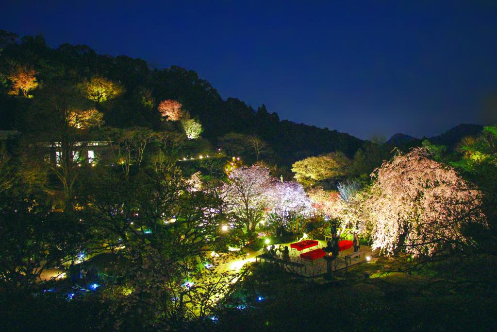 桜の宵