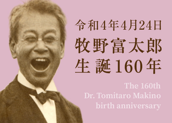 牧野富太郎博士生誕160年 特設ページ登場