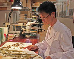 瀬尾　明弘　Akihiro Seo, Ph.D.　理学博士